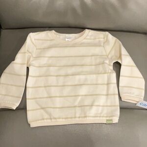 Carters Cream and green Striped Kids Shirt